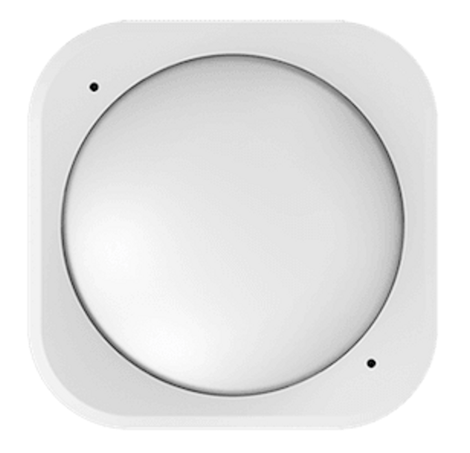 image (11).png